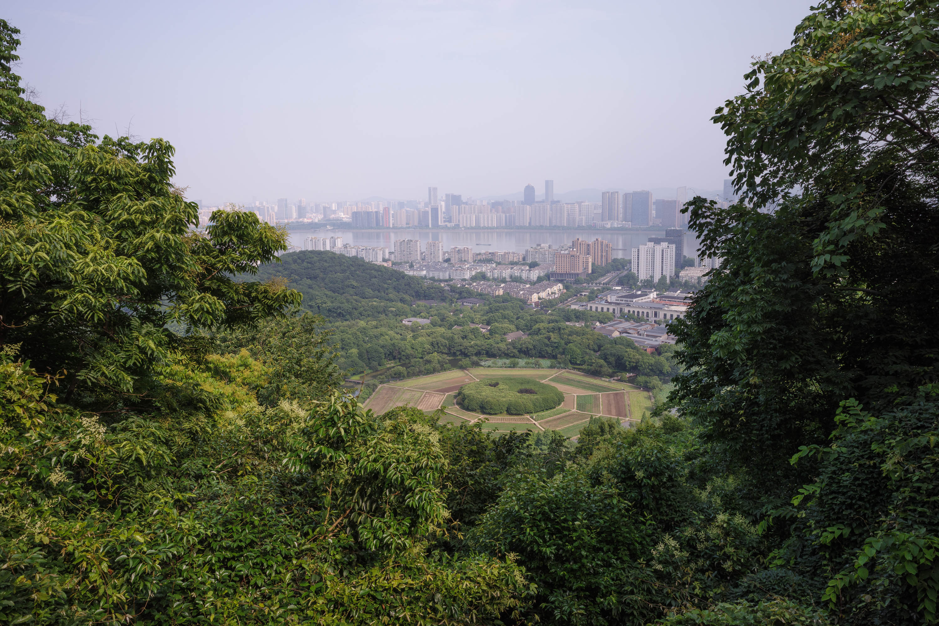 俯瞰八卦田