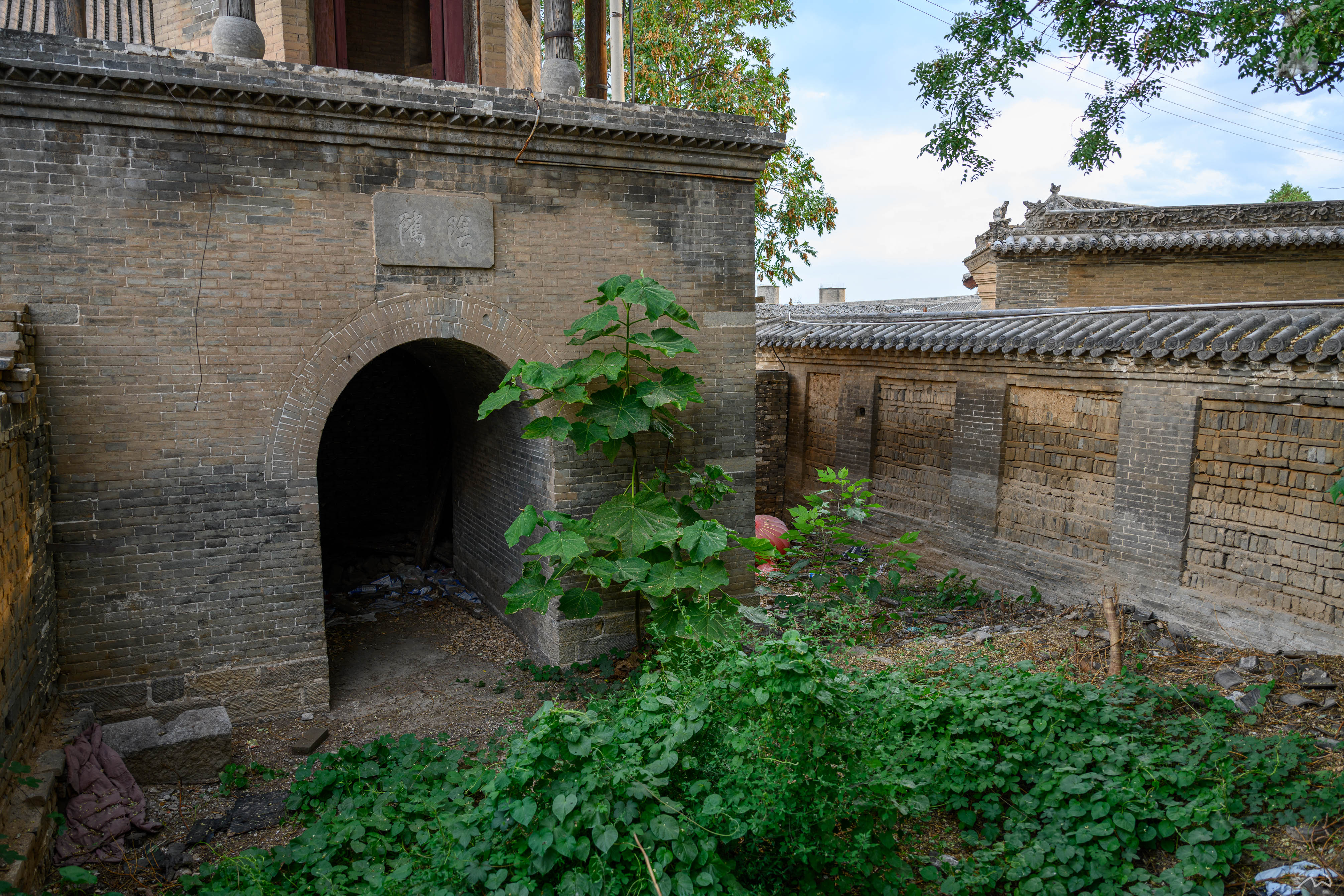 底下都是杂草